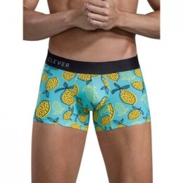 BoxersCleverLemonsBoxershorts