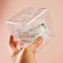 MoneyMazeGeldpuzzelSpaarpot