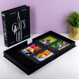 Huisdierkoffietafelfotoalbum-Kat