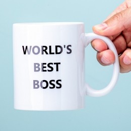 TheOfficeWorldaposSBestBossMok