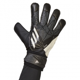 AdidasPredatorGoalKeepershandschoenen10