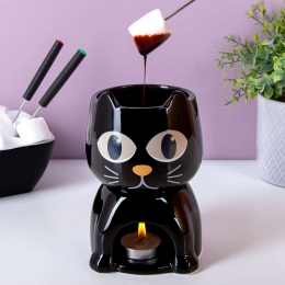 Warmtegevoeligekatfondueset