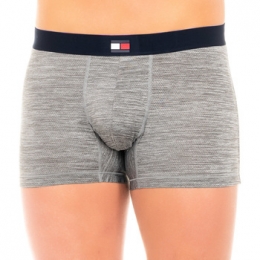 BoxersTommyHilfigerUM0UM00875-008