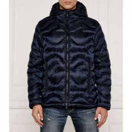 WindjackPaulampShark-