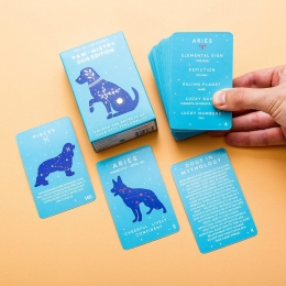 Paw-mistrykaarten-Hond