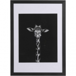 15korting-LeenBakker-FotolijstHaarlem-50x70Cm-GlasMDF-Zwart