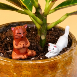 Bloempotkattensetvan4