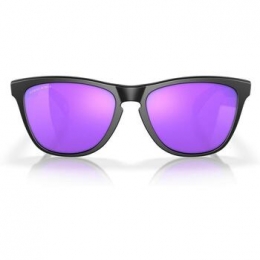 ZonnebrilOakleyFROGSKINS0OO9013