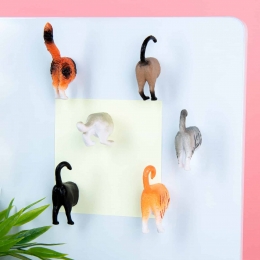 ButtMagnetenSetVan6-Katten