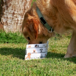 WuffaposNaposGoReisHondenbakSetVan2