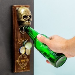 Schedelmagnetischeflesopener