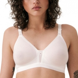 TriumphTriactionStudioTrophyNActie