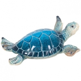 BeeldjesSignesGrimaltHarsSchildpad