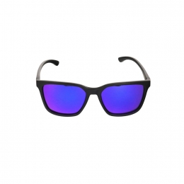 BuckelsPizNairZonnebrilSR1