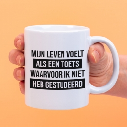 MokMijnlevenvoeltalseentoets