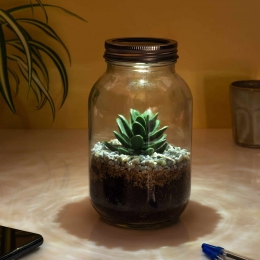 Lichtgevendterrarium