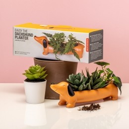 HuisdierBloempot-Teckel