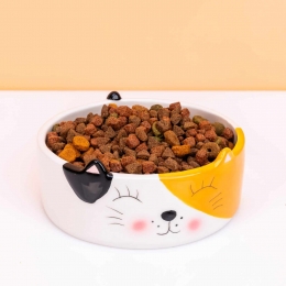 Katvoerbakmetkattengezicht