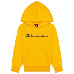 ChampionClassicsHoodedSweatshirtForBoysActie