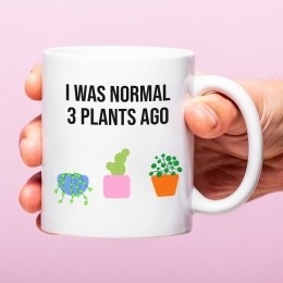 MokIwasnormal3plantsago