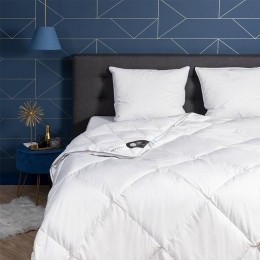 DekbedDons65Ganzendons4Seizoenen-4SeizoenenZomerWinter-140x200CmEenpersoons-Presence370Gr240Gr130Gr-Dekbed-Discounternl