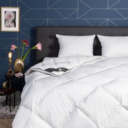 DekbedDons100Ganzendons4Seizoenen-4SeizoenenZomerWinter-240x220CmLits-Jumeaux-Presence310Gr210Gr100Gr-Dekbed-Discounternl