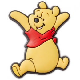 CrocsJibbitzWinnieThePoohActie