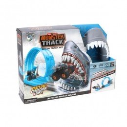 RacebaanHaaiMetDiecastAuto