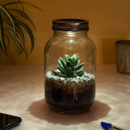 Lichtgevendterrarium