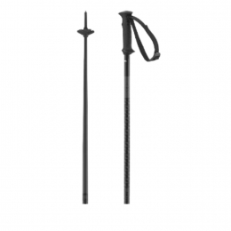 SalomonPolespolaraccessBlackSkiStokken110