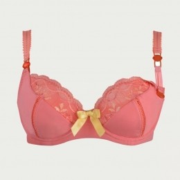 CacheCoeurVoedingsbhLisaCorial