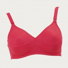 ZwangerschapsbhvoedingsbhRasberryzonderbeugels