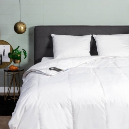 DekbedDons60Eendendons4Seizoenen-4SeizoenenZomerWinter-140x220CmEenpersoons-Presence275Gr175Gr100Gr-Dekbed-Discounternl