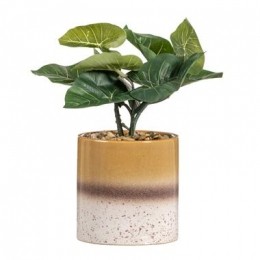 KunstplantAlocasiainpot-groenbruin-30cm-LeenBakker