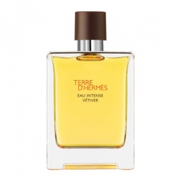 HermsTerreDHermsEauIntenseVetiverEaudeParfum100ml