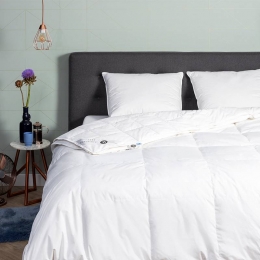 DekbedDons85Eendenveren4Seizoenen-4SeizoenenZomerWinter-200x220CmTweepersoons-Presence500Gr200Gr300Gr-Dekbed-Discounternl