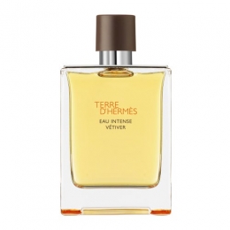 HermsTerreDHermsEauIntenseVetiverEaudeParfum200ml