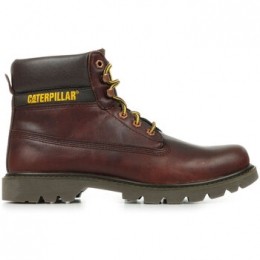 LaarzenCaterpillarColorado20