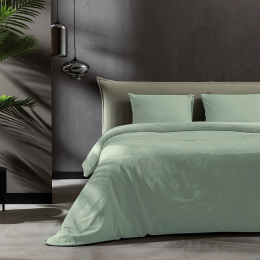 DekbedovertrekKatoenFlanel-Uni-Groen-Eenpersoons140x200Cm-GroenKatoenFlanel-Effen-FreshAndCo-Dekbed-Discounternl