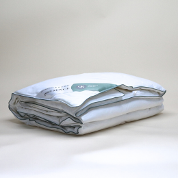 DekbedDons50EendendonsAllSeason-140x220CmEenpersoons-Presence220GramPerM-Dekbed-Discounternl