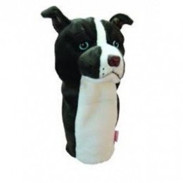 DaphnePitbullTerrier
