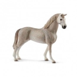 13859Schleichholsteinruin