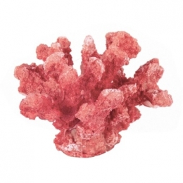 KunstplantenSignesGrimaltOrnamentCoralMar