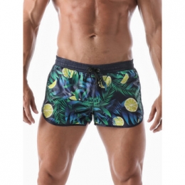 ZwembroekGeronimoZwemshortFruits