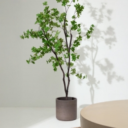 KaveHomeKunstplantEnkianthus214cm-Groen