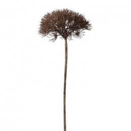 Heracleamtak-grijs-80cm