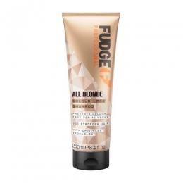 FudgeAllBlondeColourLockShampoo250ml