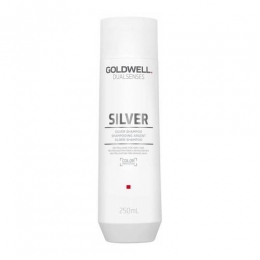GoldwellDualsensesSilverZilvershampoo250ml