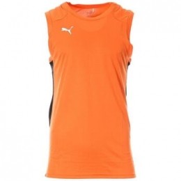 TopPuma-