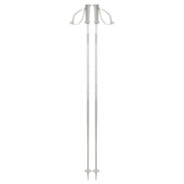 SalomonPolarAccesSkiStokken110